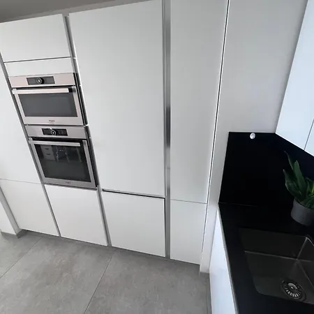 Prestige Sur La Promenade Des 尼斯